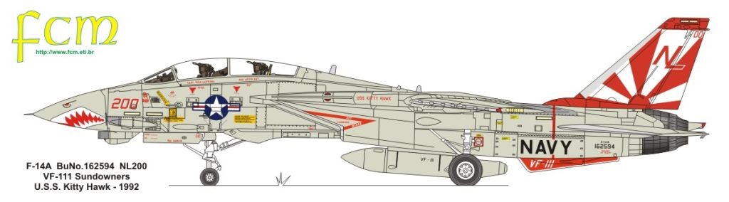 Image result for tomcat paint schemes